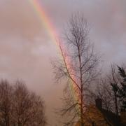 Senonches 12/04/2013