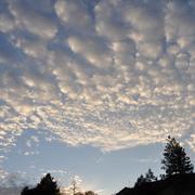 Saint-Affrique 16/04/2013