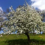 La Dornac 23/04/2013