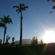 Basse-Pointe 30/08/2009