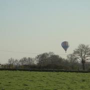 Loupfougères 25/04/2013