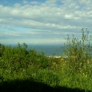 Linguizzetta 29/04/2013