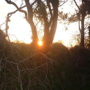 Botsorhel 01/05/2013