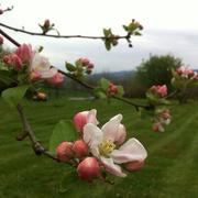 Bersac-sur-Rivalier 02/05/2013