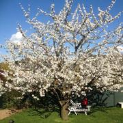 La Pommeraye 03/05/2013