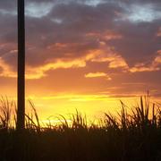 Saint-André 31/08/2009