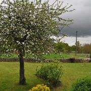 Saint-Sornin-Leulac 10/05/2013