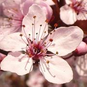 Bourg-de-Visa 11/05/2013