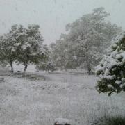 La Robine-sur-Galabre 26/05/2013