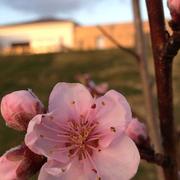 Saint-Puy 27/05/2013