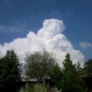 Belleville-sur-Vie 07/06/2013