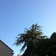 Bellegarde-du-Razès 13/06/2013