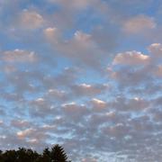 Oradour-sur-Glane 16/06/2013