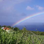 Petite-Île 16/06/2013