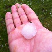 Questembert 17/06/2013