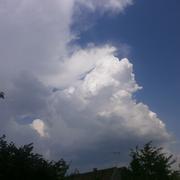 Thorigny-sur-Oreuse 22/07/2013