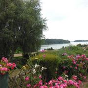 Saint-M'Hervon 26/07/2013