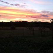 Huisseau-sur-Mauves 28/07/2013