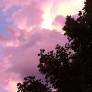 Fontenay-près-Chablis 06/08/2013