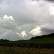 Fontenay-près-Chablis 07/08/2013