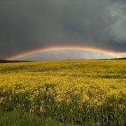 Marnay-sur-Marne 27/08/2013