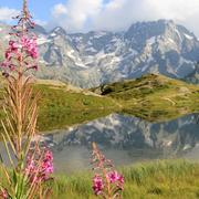 La Chapelle-en-Valgaudémar 06/09/2013