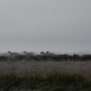 Kalispell 23/09/2009