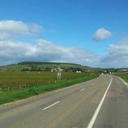 Savigny-lès-Beaune 10/10/2013