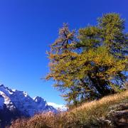 Vallouise 11/10/2013