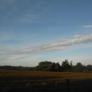 Chantonnay 20/10/2013