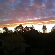 Rion-des-Landes 27/10/2013