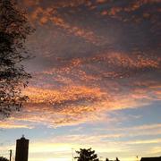 Rion-des-Landes 28/10/2013