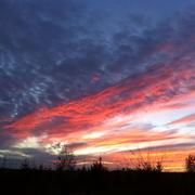 Saint-Mesmin 08/11/2013