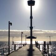 Adélaïde 12/11/2013