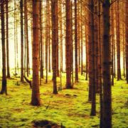 Marnay-sur-Marne 14/11/2013