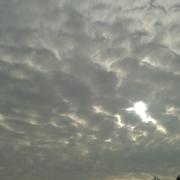 Pommiers-Moulons 17/11/2013