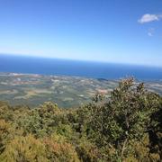 Linguizzetta 22/11/2013