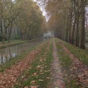 Blancafort 22/11/2013