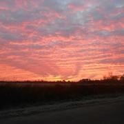 Chantonnay 28/11/2013