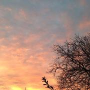 Lamonzie-Montastruc 28/11/2013