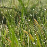 Bricquebec 04/12/2013