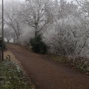 Choilley-Dardenay 14/12/2013