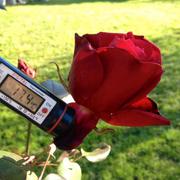 Philondenx 14/12/2013