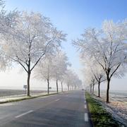 Champdivers 14/12/2013