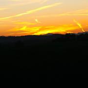 Philondenx 15/12/2013