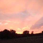 Saint-Coutant 08/10/2009