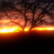 Messey-sur-Grosne 06/01/2014