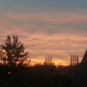 Neufchâtel-en-Bray 29/01/2014
