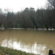 Roquefort 27/01/2014