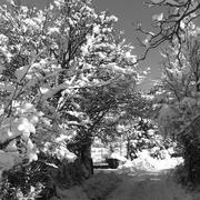 Saint-Julien-en-Beauchêne 01/02/2014